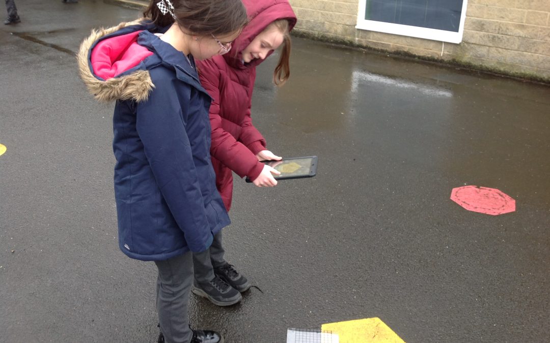 Finding Percentages