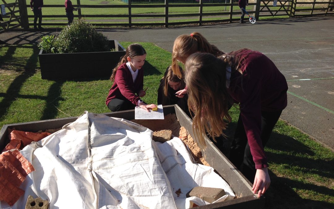 Investigating Perimeter