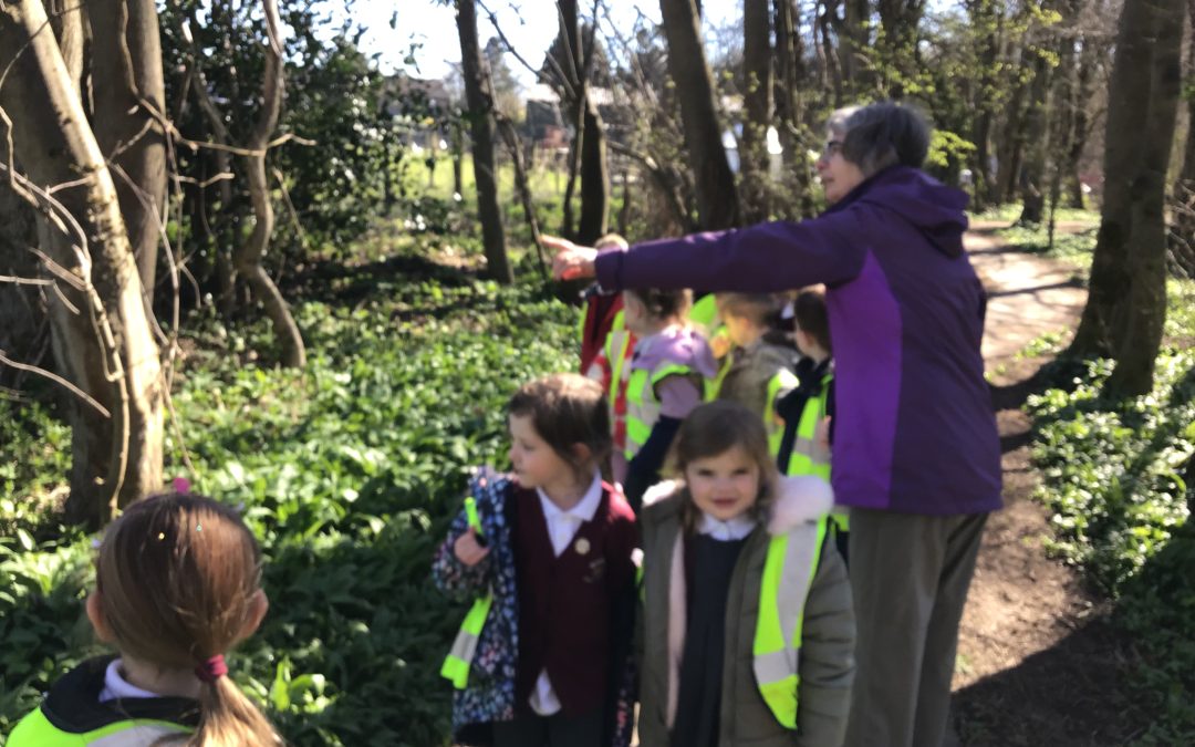 Spring Walk