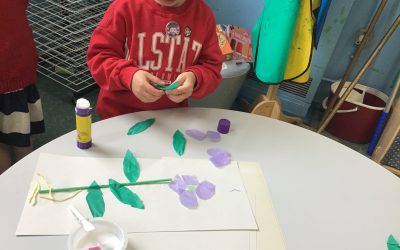 Plants