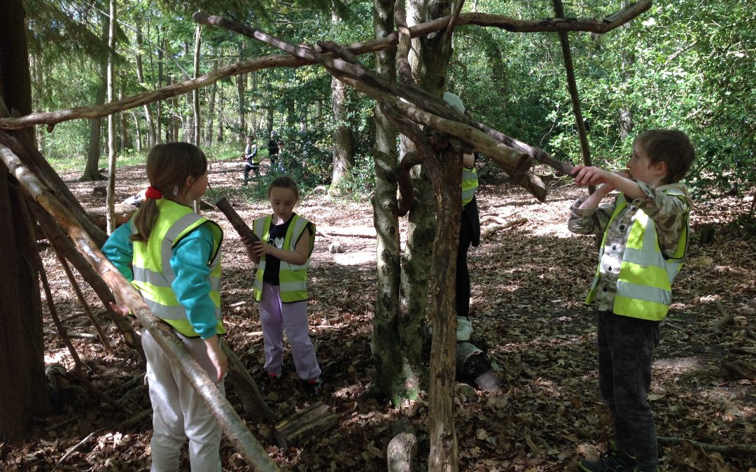 OAA at Hamsterley Forest