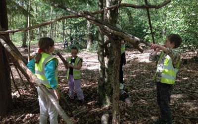 OAA at Hamsterley Forest