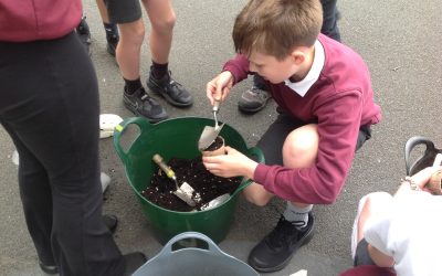 Soil Project