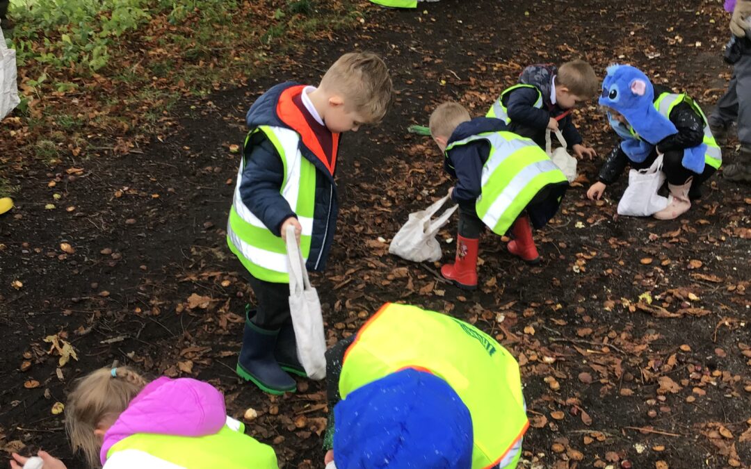 Autumn Walk