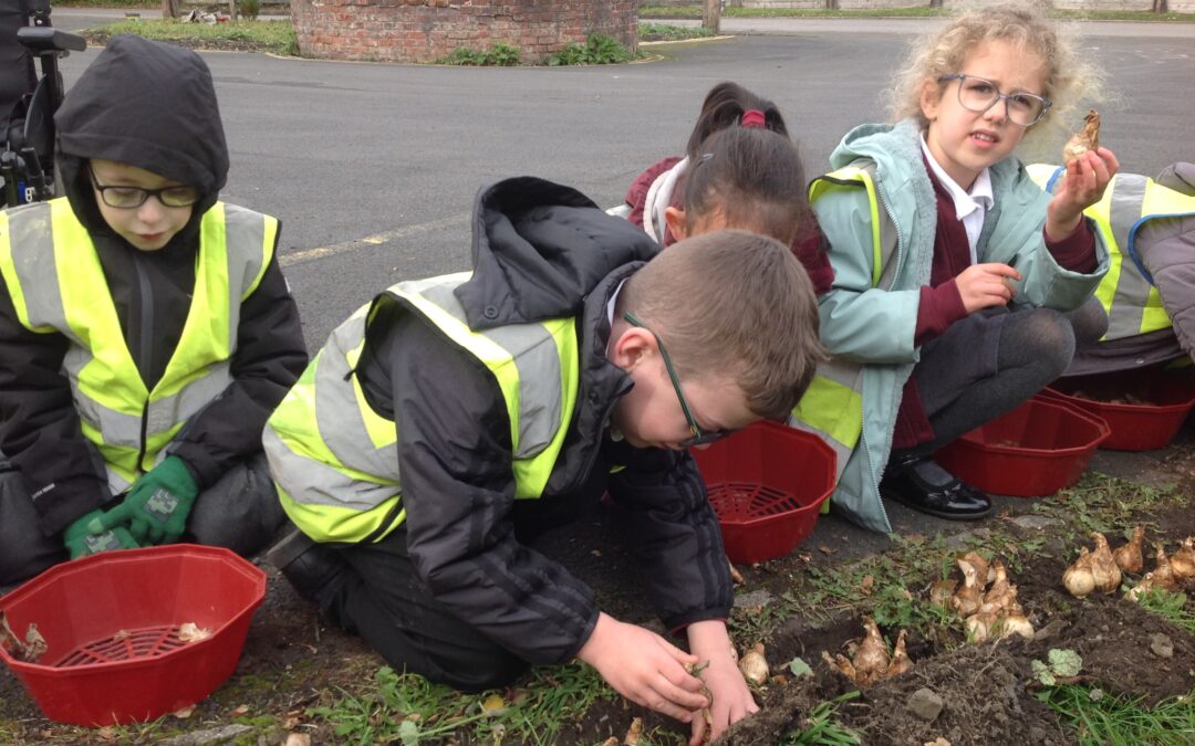 Bulb Planting with Weardale Railway