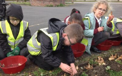 Bulb Planting with Weardale Railway