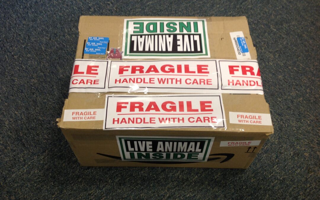 Monster Instructions