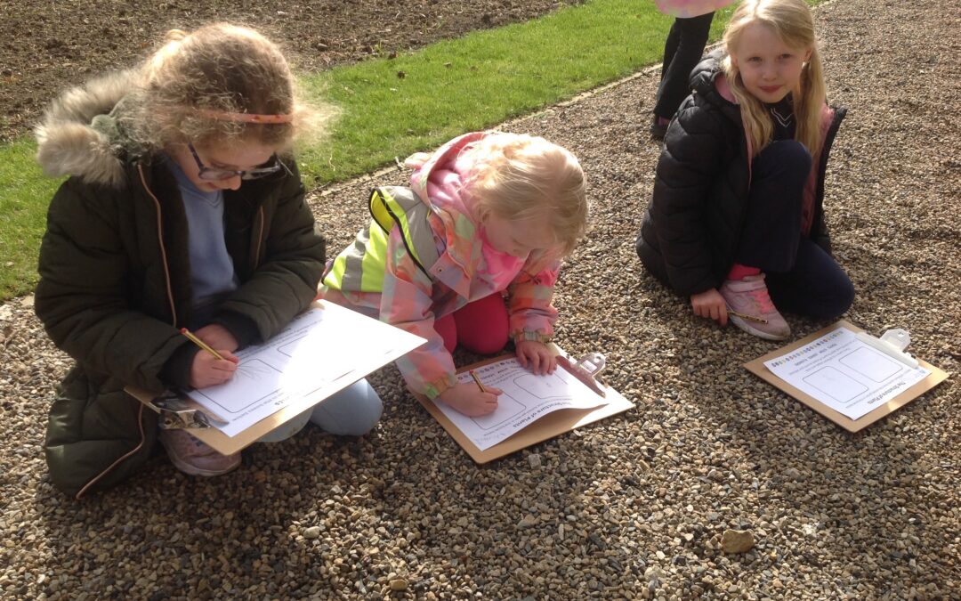 Visit to Auckland Palace