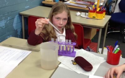 Solubility Experiment