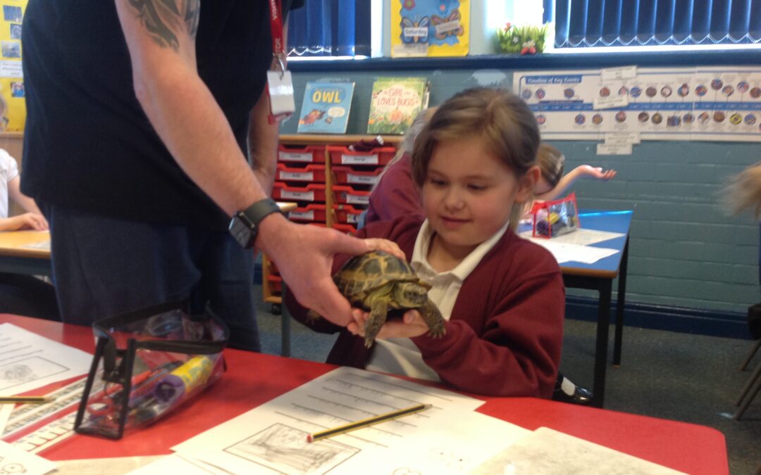 A Visit from Adam Bushnell