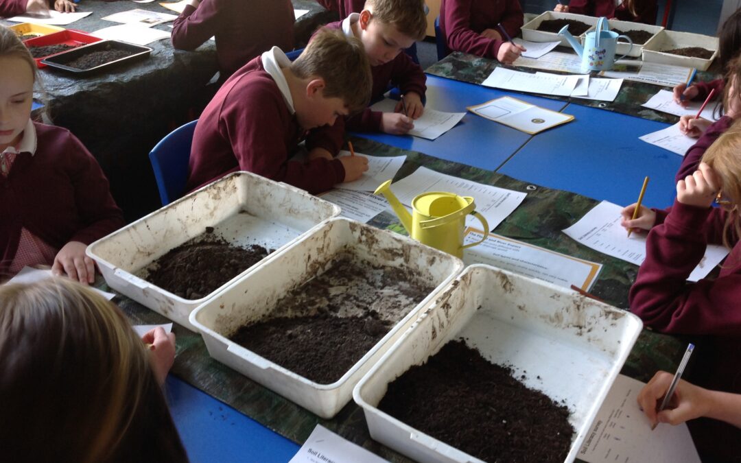 Soil Experiments