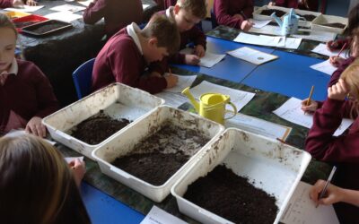 Soil Experiments
