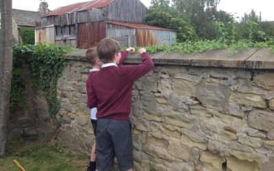 Invertebrate Hunt